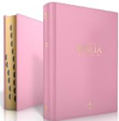 Biblia LG 12pt Rosa Indice 60094