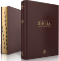 Biblia LG 12pt Cafe Indice 60070