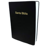 Biblia Vinil Negro